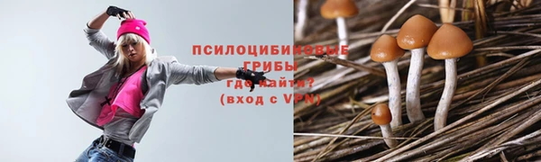 кокаин премиум Алексеевка