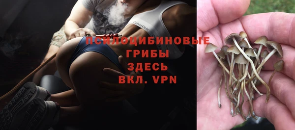 кокаин премиум Алексеевка
