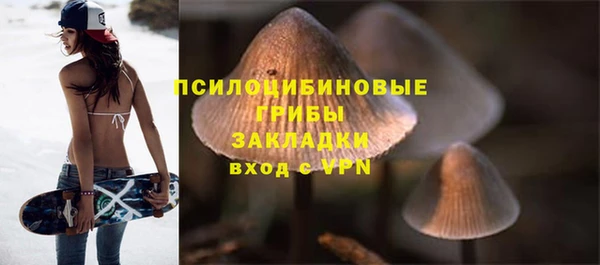 mix Алексин