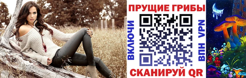 MEGA ссылки  Балабаново  Псилоцибиновые грибы MAGIC MUSHROOMS  где купить наркотик 
